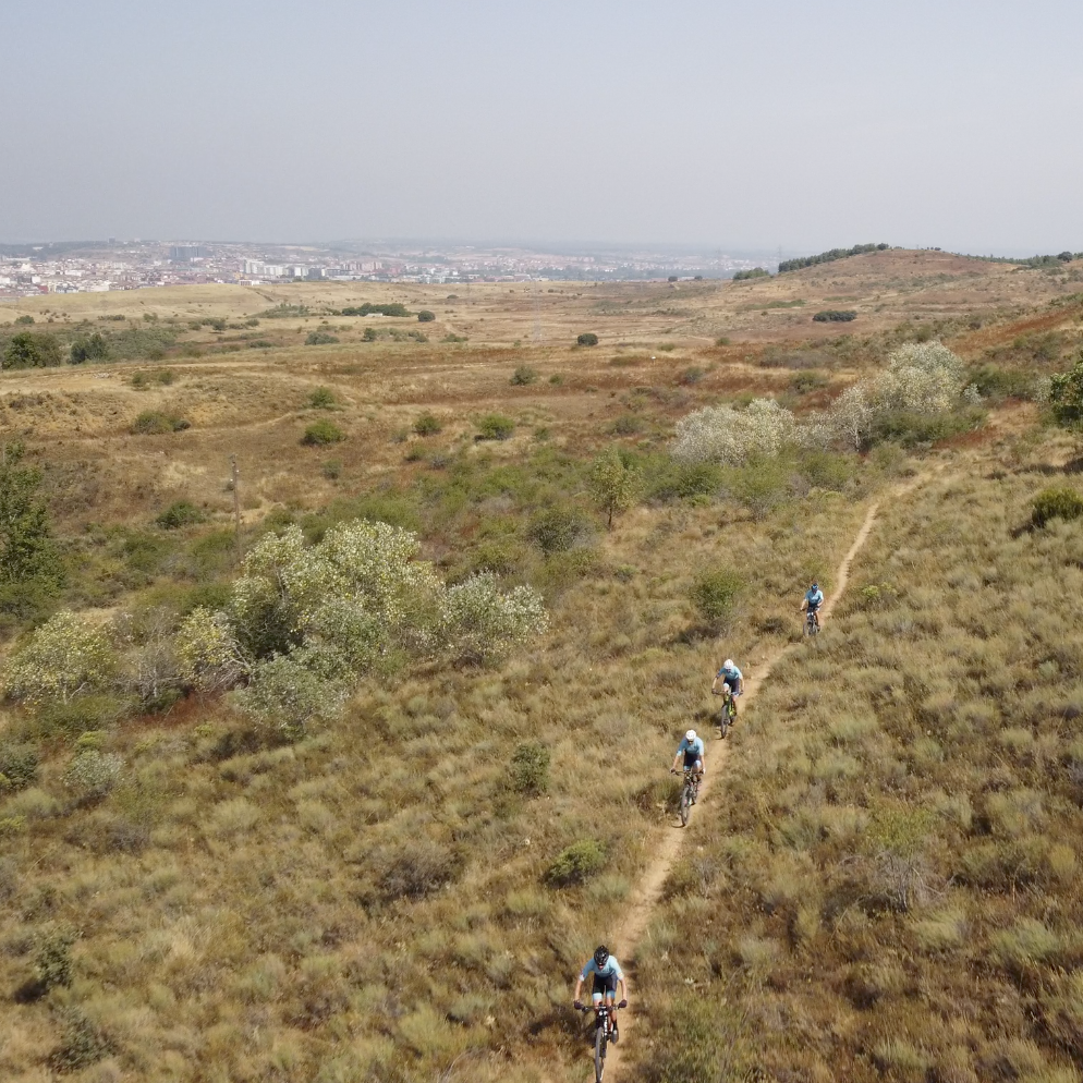 captura de pantalla 2026 03 03 a las 10.52.25 (2)